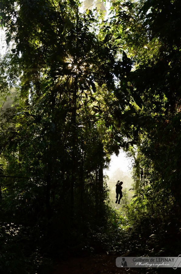 GibbonExpreience-Laos-photo-Guilhem-de-Lepinay-16