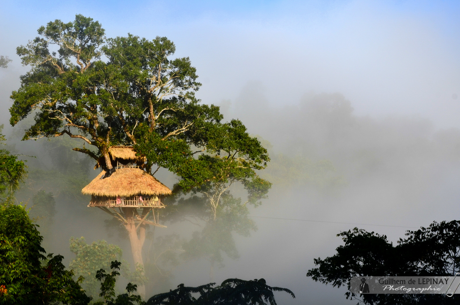 Reportage Gibbon Experience Laos - Guilhem de Lépinay - Photographie