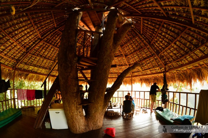 Maison dans les arbres - Trek jungle Laos- Gibbon Experience Laos Bokeo
