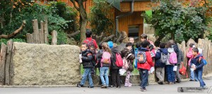 zoo de mulhouse photo