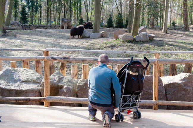 Espace-Grand-Nord-Zoo-Mulhouse-photographe-Guilhem-de-Lepinay-18