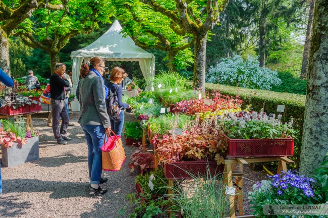 Marche-Aux-Fleurs-Zoo-de-Mulhouse-photographe-Guilhem-de-Lepinay-10