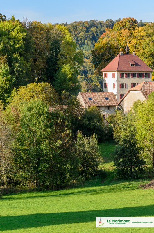 photographe hôtel nature alsace