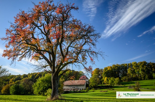 photographe hôtel nature alsace