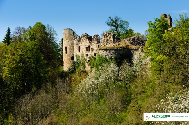 hotel-nature-Alsace-Le-Morimont-5627