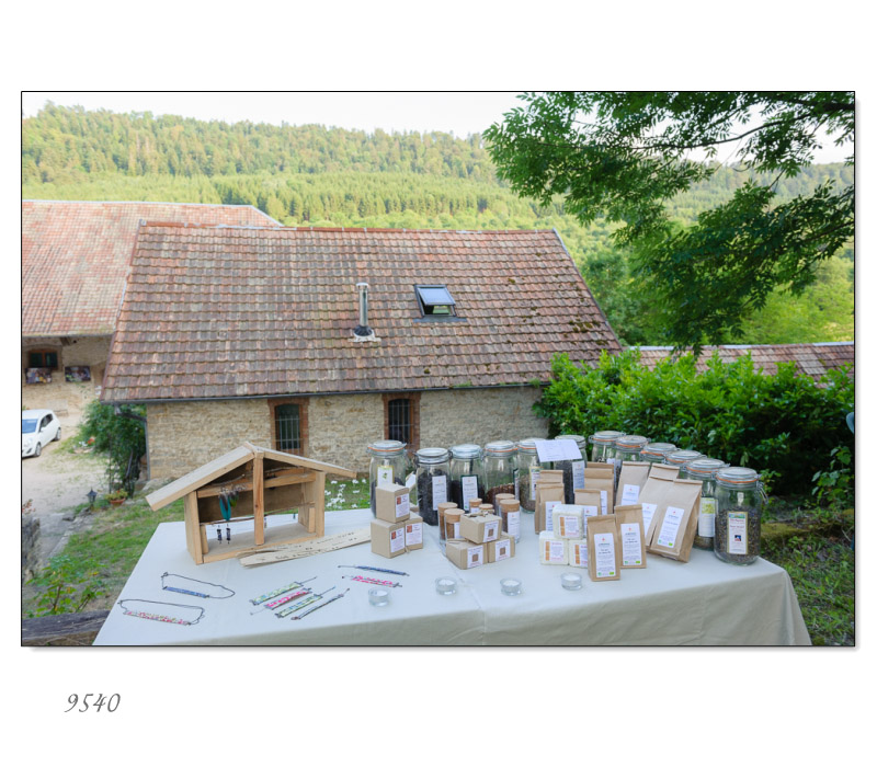 MarcheJuin2013-004